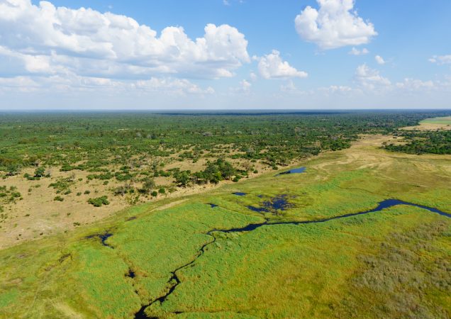 vyhlídkový let, Linyanti, safari botswana, poznávací zájezd botswana, zájezd botswana