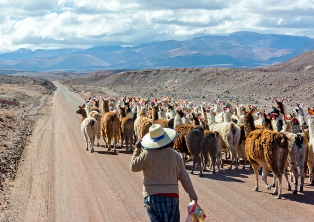 mapučové chile, původní kmeny chile, tradice chile, zájezd chile, dovolená chile, historie chile, zvyky a tradice chile