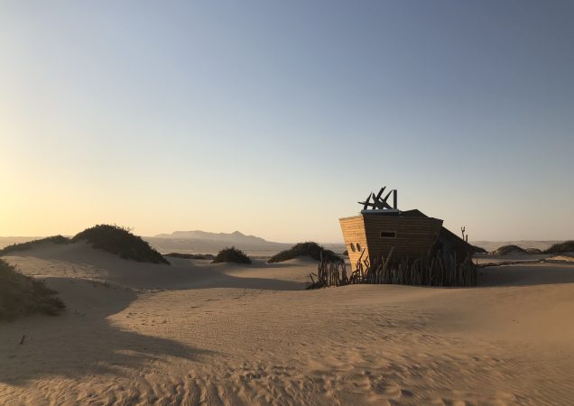 zájezd namibie, namibie luxusní ubytování, shipwreck lodge, ubytování v poušti, safari namibie, poušť namibie