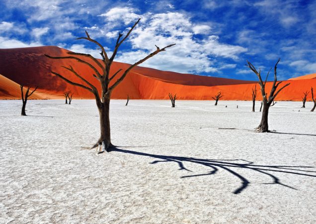 Sossusvlei, Deadvlei Namibie, poušť namib, zájezd namibie, poznávací zájezd namibie, self-drive namibie, kaňon sesriem