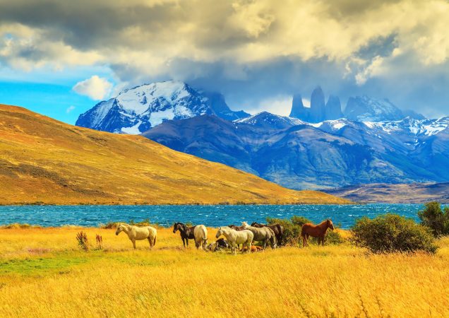 Torres del Paine, zájezd chile, dovolená chile, chile turistika, chile treky, chile túry, chile hory, patagonie chile