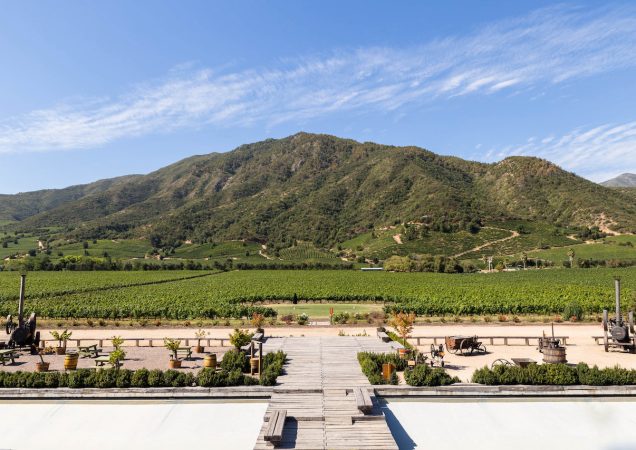 vinice chile, víno chile, údolí elqui, zájezd chile, dovolená chile, zájezd za vínem, chilské víno zájezd