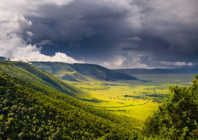 kráter ngorongoro, safari ngorongoro, zájezd tanzanie, safari tanzanie, zájezd safari, poznávací zájezd tanzanie, safari tanzanie