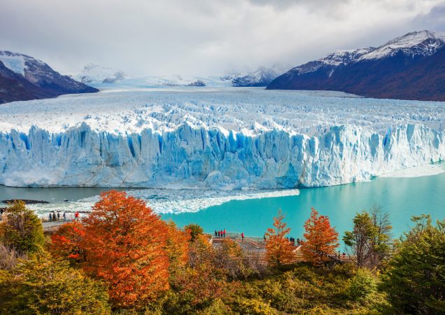 Perito Moreno, ledovec