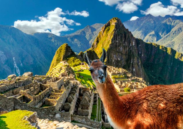 Machu Picchu Peru, lama, panorama, příroda