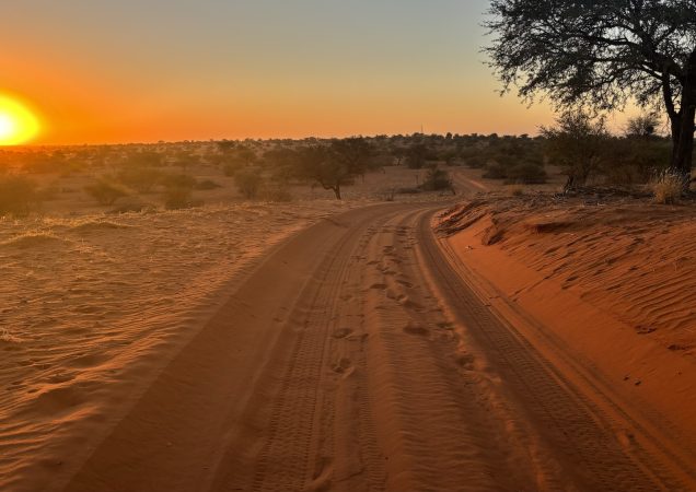 Rozlehlá píščitá krajina Namibie při západu slunce