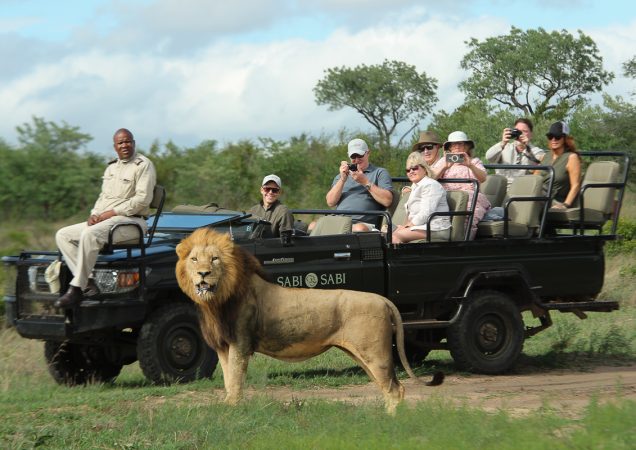 soukromé safari 4x4, safari jižní afrika